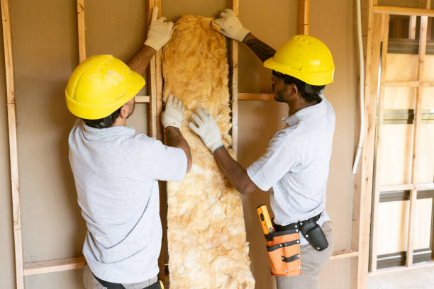 Best Cellulose Insulation  in Lebanon, VA