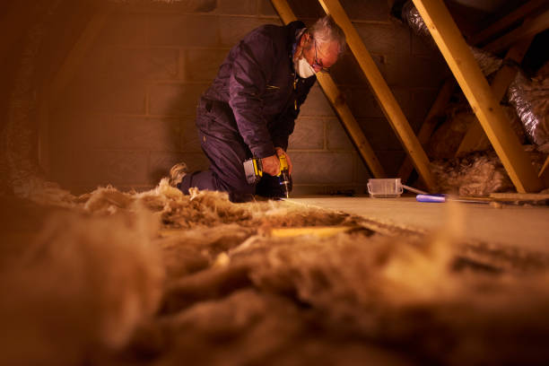 Best Crawl Space Insulation  in Lebanon, VA